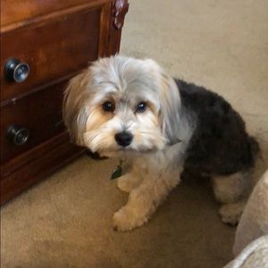 Meet your Posher, Blaine